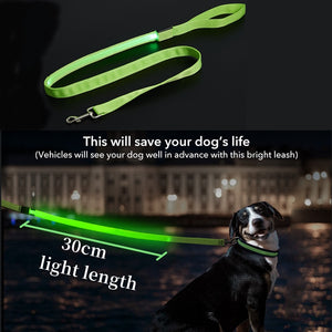 Glowing Led Dog Leash