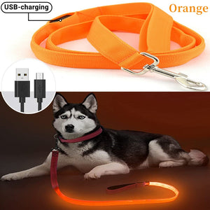 Glowing Led Dog Leash