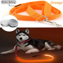 Load image into Gallery viewer, Glowing Led Dog Leash