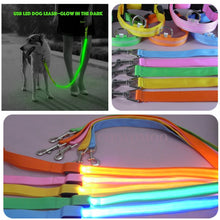 Load image into Gallery viewer, Glowing Led Dog Leash